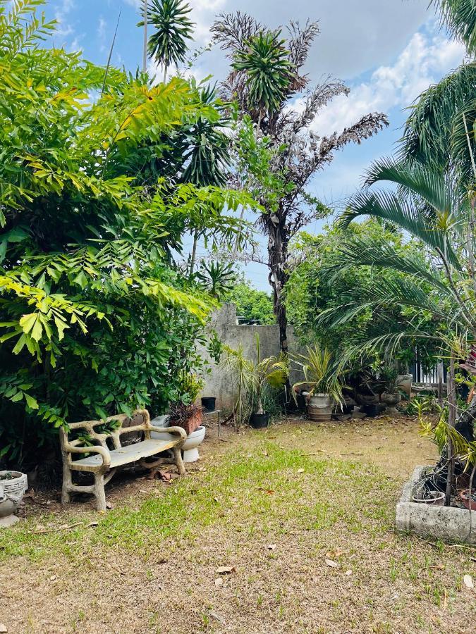 In The Heart Of Kingston Villa Exterior photo
