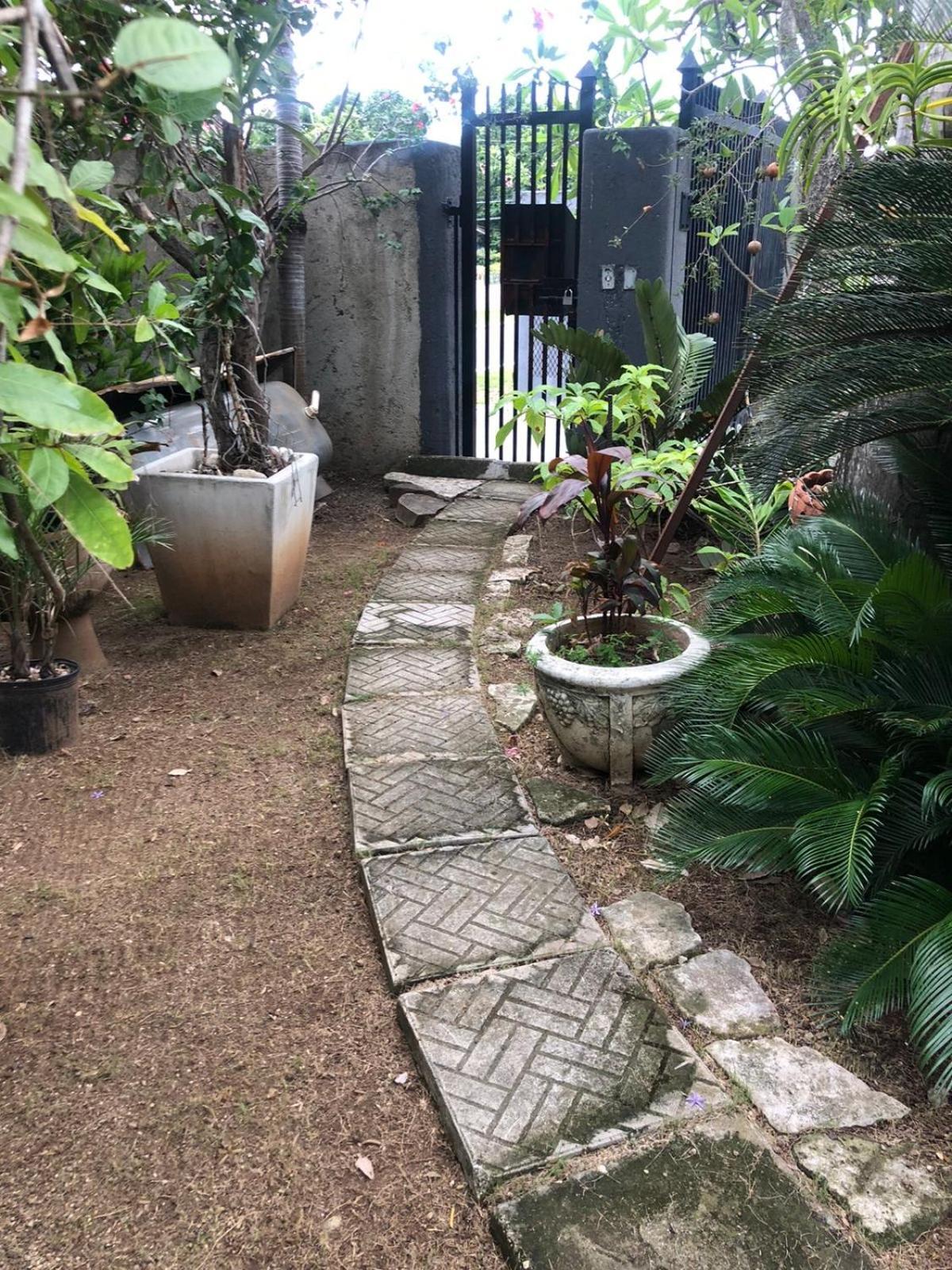 In The Heart Of Kingston Villa Exterior photo