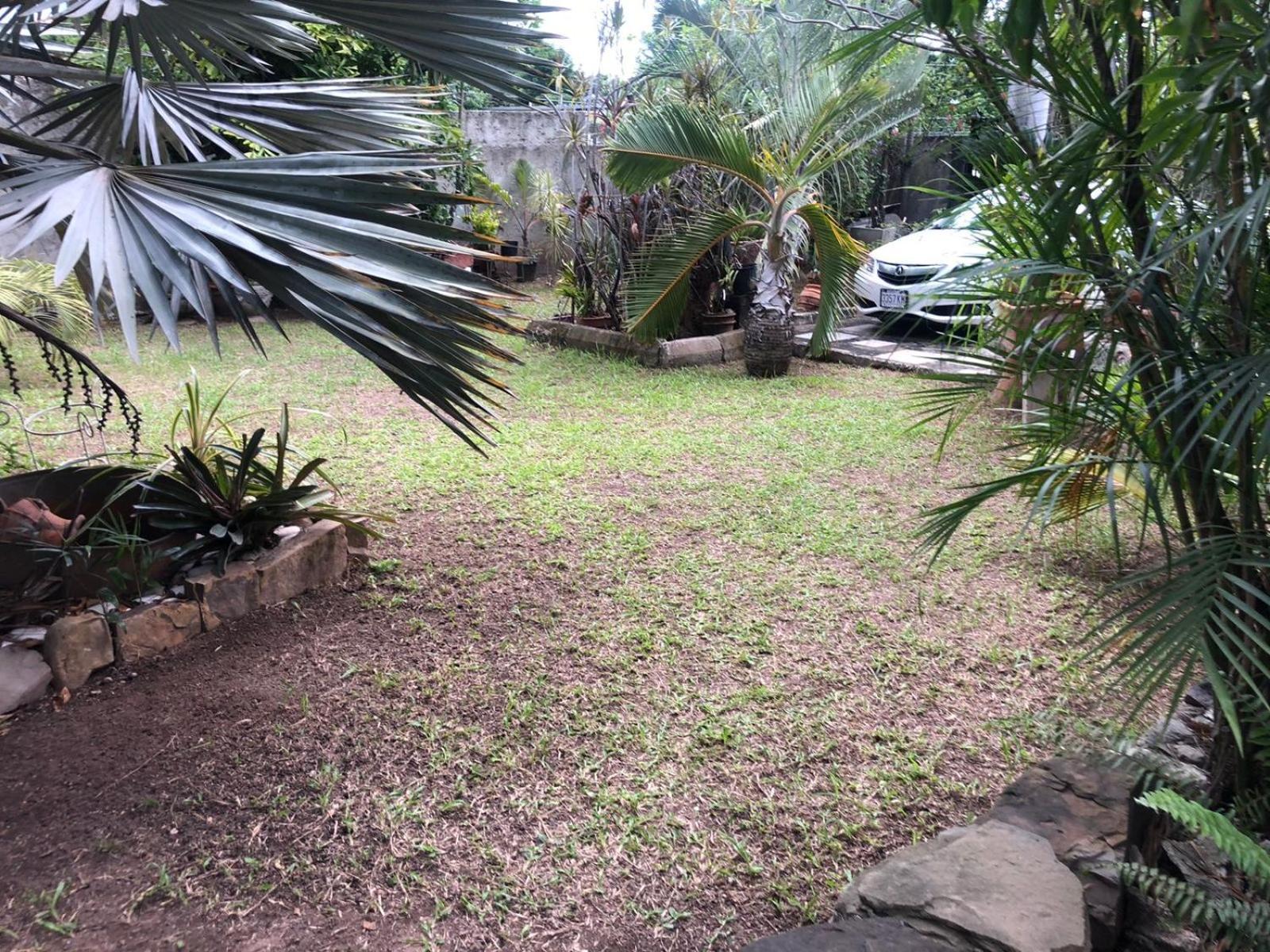 In The Heart Of Kingston Villa Exterior photo
