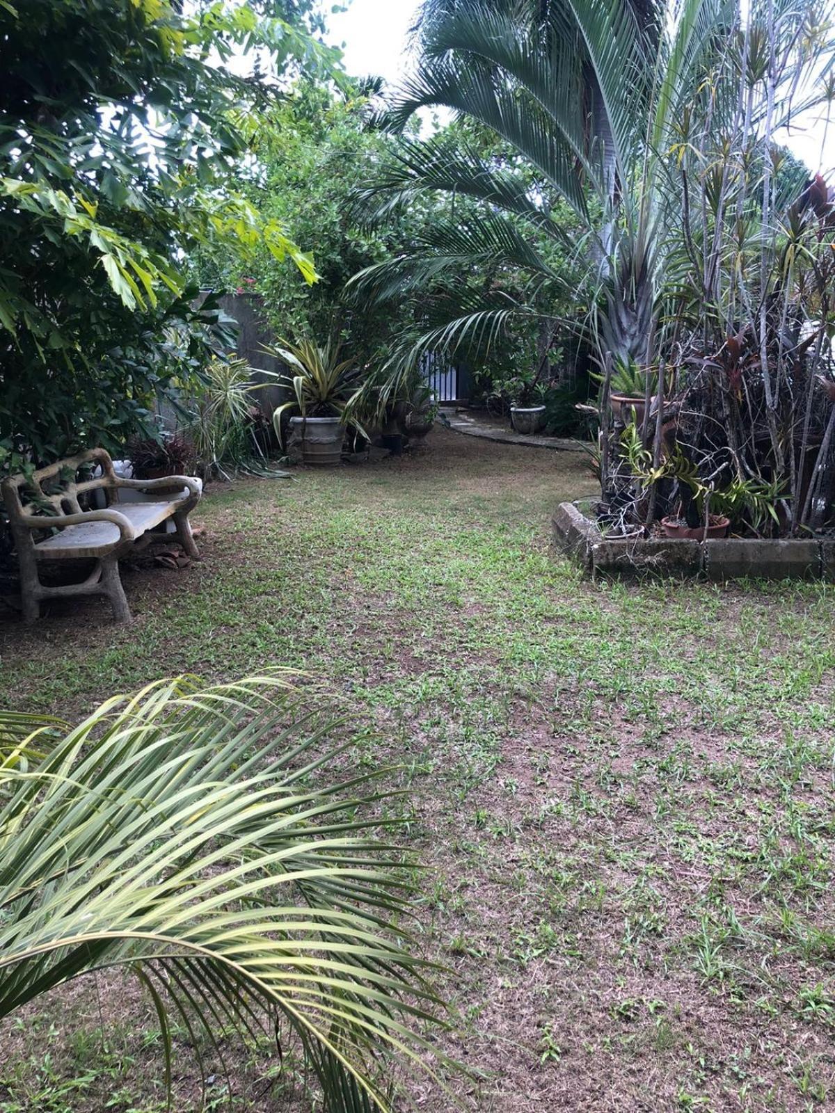 In The Heart Of Kingston Villa Exterior photo